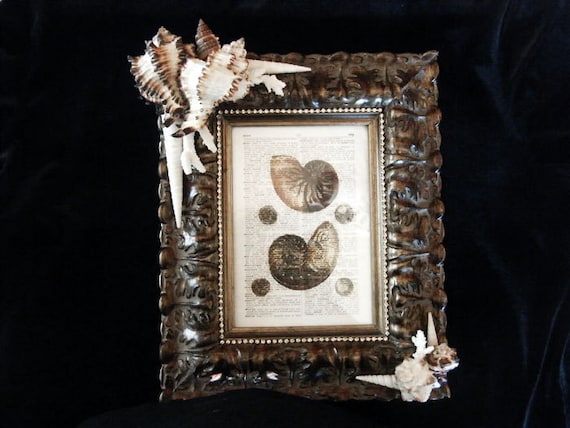 Frame Embellished with Seashells - Gallery Quality