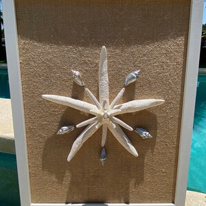 May include: A white starfish with silver seashells arranged around it on a burlap background. The starfish and seashells are mounted on a white frame.