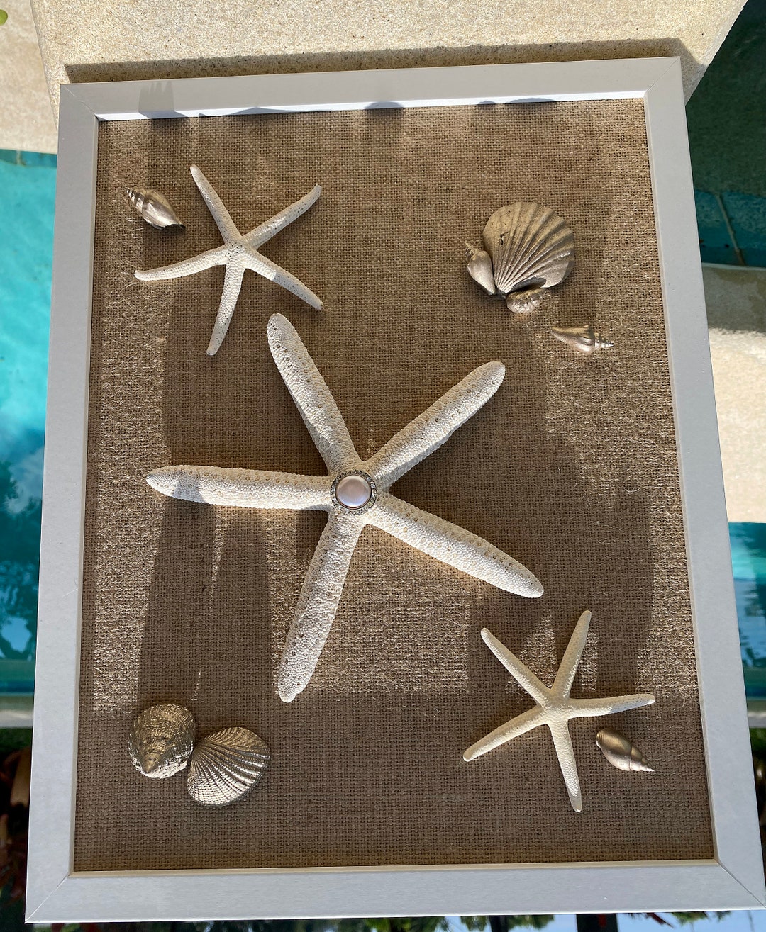 Seashell Wall Art for Coastal Home Decor - Etsy