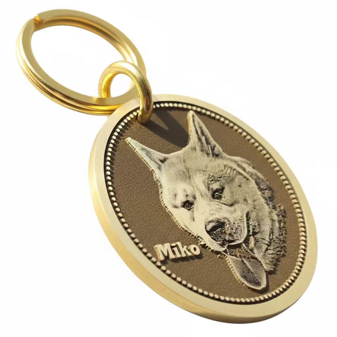 Custom Pet Photo Keychain | Commemorative Brass Coin Pendant With ...