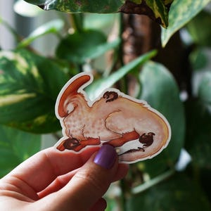 May include: A sticker depicting a light brown and cream-coloured cartoon creature with a large, curved horn. The sticker has brown accents and is held in front of green leaves.