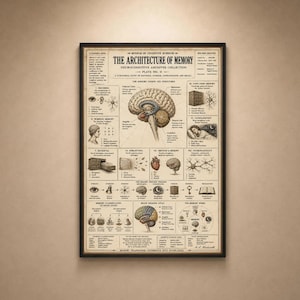 May include: A framed educational poster titled The Architecture of Memory, featuring a central anatomical illustration of a human brain surrounded by smaller diagrams, scientific text, and charts in a vintage, sepia-toned aesthetic on paper.