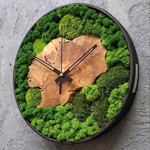 May include: A circular wall clock with a black frame, showcasing a natural wood centre and a border of vivid green moss. The clock hands are black, and the clock is mounted on a textured grey wall.