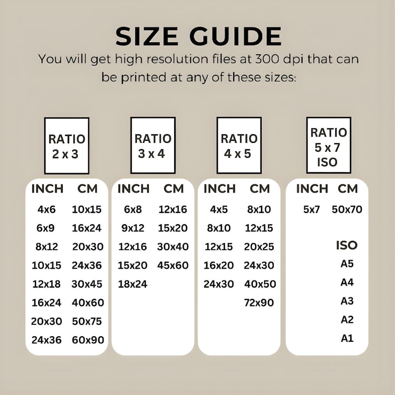 May include: Size guide graphic with print size ratios and dimensions in inches and centimeters. Includes ratios 2x3, 3x4, 4x5, and 5x7 ISO, with sizes like 4x6 inches (10x15 cm) and 8x10 inches (20x25 cm).