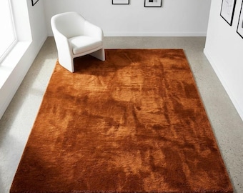 Burnt Orange Plush Area Rug Soft Modern Shag Carpet Cozy Living Room Bedroom Decor Minimalist Floor Rug
