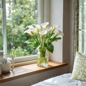 Peace Lily Seeds - Etsy