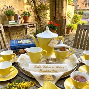 Vintage Salins France Ariane Pattern Tea Set - Rare Yellow Honeycomb Earthenware 15-Piece French Mid-Century Modern Tea Service - Salins