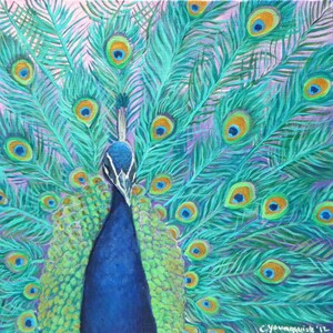 Flamboyant Peacock 20&quot;x 20&quot; Canvas Print/ Gallery Quality Stretched Canvas Print