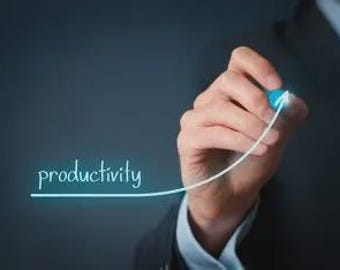 SNF therapy productivity tracker | ALL disciplines | Skilled Nursing Productivity Log |  PDF