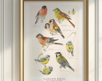 Vintage Vögel Wandkunst, Gartendruck, Naturdekor Poster