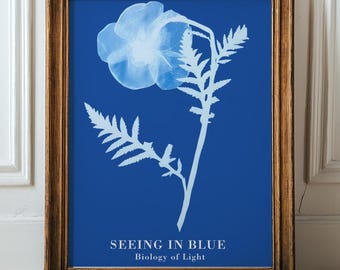 Cyanotypie Blumen Print, Biologie des Lichts, botanische Kunst