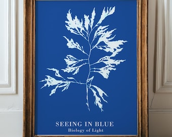 Cyanotypie botanische Kunst Druck, Minimalistische Blaue Pflanze Poster