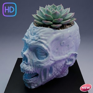 Puede incluir: Una maceta en forma de calavera azul claro con una planta suculenta. La maceta tiene una superficie detallada y texturizada y está llena de tierra y una suculenta verde. La calavera está sobre una superficie negra.