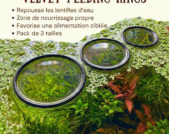 Feeding Ring – Anneau de nourrissage pour aquarium