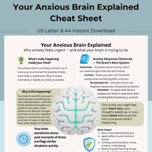 Your Anxiety Brain Explained Cheat Sheet Neurobiology Trauma Therapy Tool PDF