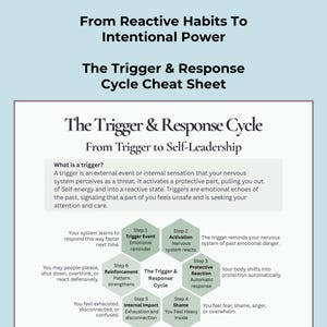 CPTSDTrigger Response Cycle Spickzettel | IFS Traumaauslöser & Nervensystem PDF