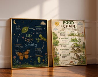Juego de 2 pósteres sobre el ciclo de vida y la cadena alimentaria de las mariposas, decoración para aulas de ciencias, láminas educativas imprimibles, material didáctico para la educación en casa.