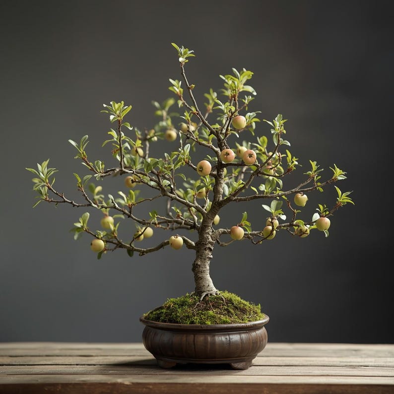May include: A bonsai tree with small, round, light-colored fruit. The tree has a textured trunk and branches with green leaves. It is planted in a brown, rounded pot filled with moss, and sits on a wooden surface.