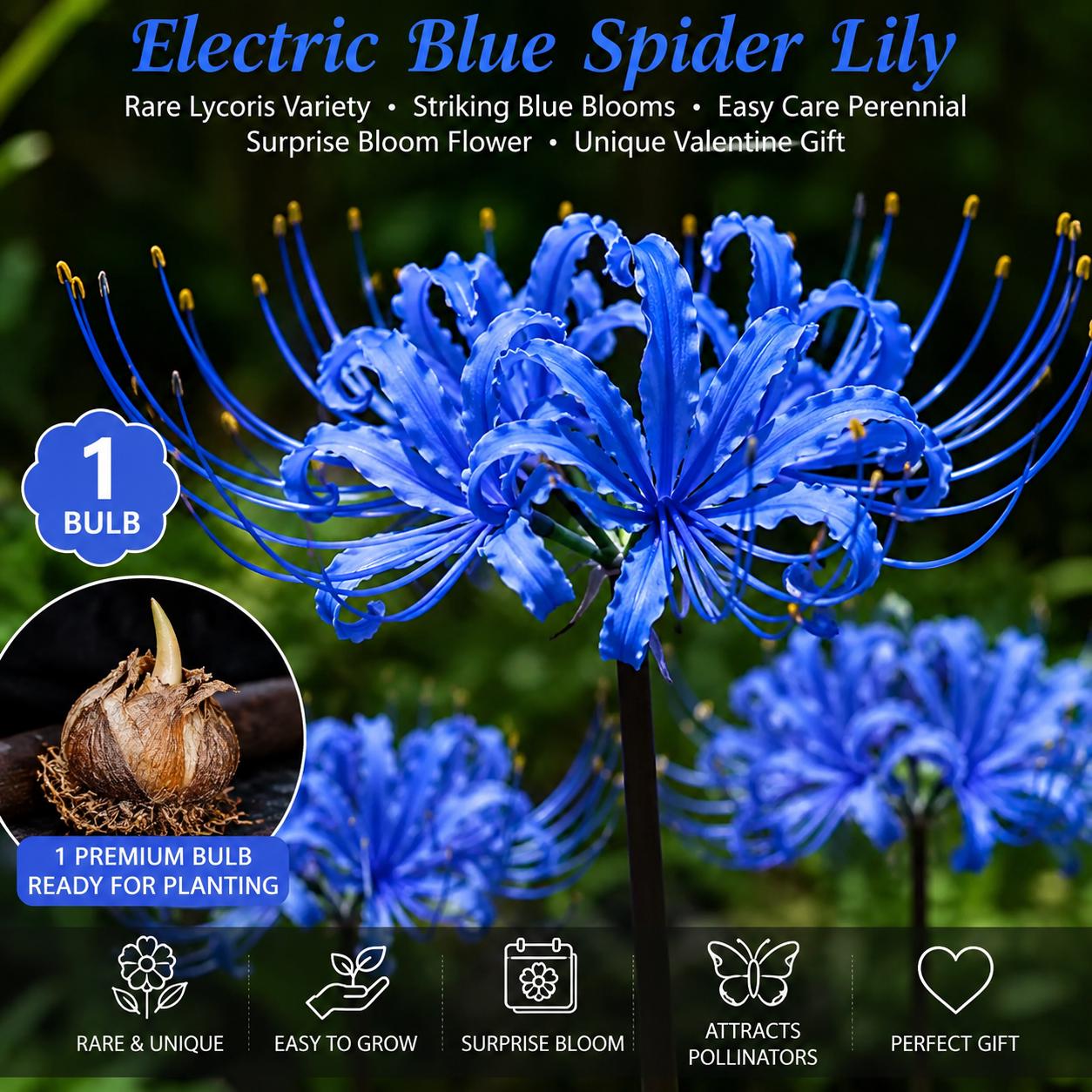 planting penstemon seeds Bulk Rocky Mountain Penstemon Seeds Packet main image 0