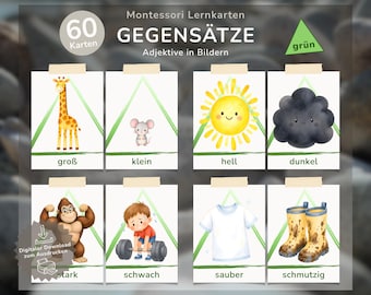 Gegensätze 60 Bildkarten | Adjektive in Bildern grün | Sprachförderung DaZ DaF | 60 Lernkarten für Kita & Grundschule | PDF zum  Download