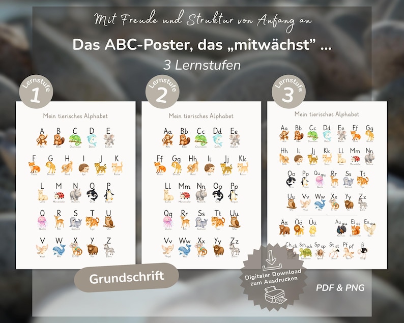 Poster voor het leren van het basisschrift: Dierenalfabet | Cadeau voor de start van het schooljaar 2026 | ABC in 3 leerniveaus | Start van het schooljaar | Download PDF PNG afbeelding 1