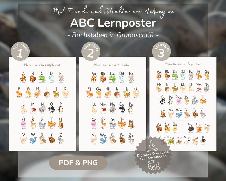 Op de afbeelding: Drie educatieve posters getiteld ABC Lernposter met dierenillustraties voor elke letter van het alfabet. De posters zijn ingedeeld in drie leerniveaus en tonen hoofdletters en kleine letters naast kleurrijke tekeningen van dieren.