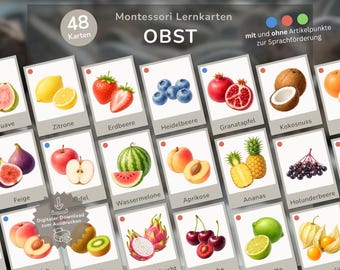 48 fruitflitskaarten voor het leren van de Duitse taal | Montessori-afbeeldingenkaarten voor taalontwikkeling | met lidwoordkleuren voor der, die & das | Duits als vreemde taal | Duits als tweede taal | PDF-download