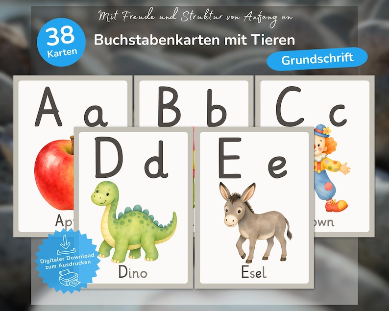 K&ouml;nnte beinhalten: Ein Set aus p&auml;dagogischen Alphabetkarten mit Gro&szlig;- und Kleinbuchstaben, kombiniert mit Illustrationen von Tieren und Objekten. Die Karten zeigen die Buchstaben A bis E, darunter einen roten Apfel, einen gr&uuml;nen Dinosaurier und einen grauen Esel.