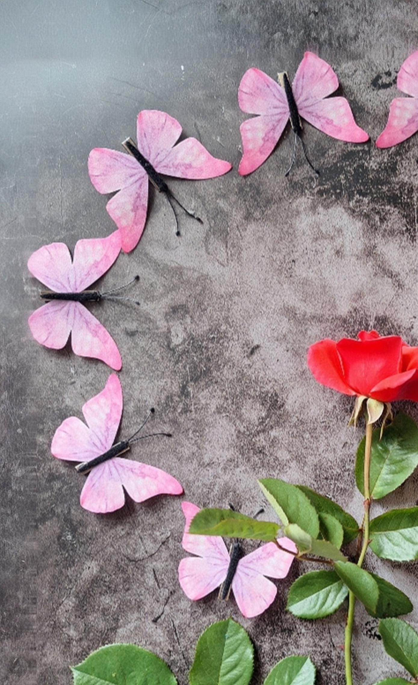 Set Di 2 Fermagli Per Capelli A Farfalla Per Bambine E Ragazze – Accessori Rosa E Viola, Antiscivolo, Carini E Alla Moda