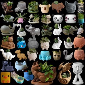 Könnte beinhalten: Sammlung dekorativer Keramik-Pflanzgefäße in verschiedenen Tier- und Charakterformen, darunter ein Faultier, eine Schildkröte, ein Frosch, ein Koala, ein Bär, ein Panda und ein Hund. Jedes Pflanzgefäß enthält eine kleine Sukkulente oder Pflanze, vor schwarzem Hintergrund.