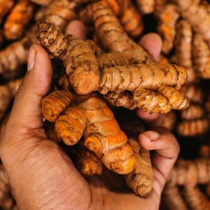 May include: Close-up of fresh turmeric rhizomes, showcasing their rough, textured exterior and vibrant orange flesh. The image highlights the natural, earthy tones of the spice, with a focus on the organic shapes and textures of the turmeric.