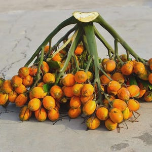 May include: A white ceramic mug with a black handle and the text "But First, Coffee" in a bold, black font. The mug is set against a plain white background, highlighting its simple design.