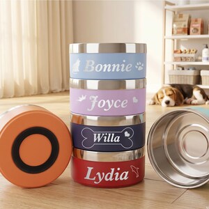 Pu&ograve; includere: Una pila di quattro ciotole cilindriche in acciaio inossidabile nei colori azzurro, lavanda, blu scuro e rosso, personalizzate con i nomi Bonnie, Joyce, Willa e Lydia. Una ciotola arancione con base nera e una verde acqua sono accanto.