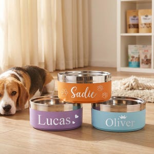 Pu&ograve; includere: Tre ciotole rotonde in acciaio inossidabile per animali domestici con rivestimenti esterni colorati. La ciotola arancione &egrave; personalizzata con il nome Sadie e impronte di zampe. La ciotola viola presenta il nome Lucas e un cuore. La ciotola azzurra mostra il nome Oliver e una corona.
