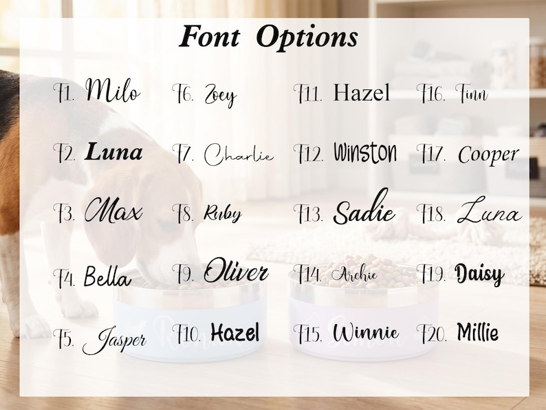 Pu&ograve; includere: Una tabella di selezione dei caratteri intitolata Font Options che mostra venti distinti stili tipografici neri etichettati da F1 a F20. Ogni etichetta presenta un nome comune per animali domestici come Milo, Luna, Max, Bella, Jasper, Zoey, Charlie, Ruby, Oliver, Hazel, Winston, Sadie, Archie, Winnie, Finn, Cooper, Daisy e Millie.