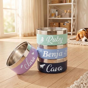 Pu&ograve; includere: Un set di quattro ciotole per animali in acciaio inossidabile con esterni colorati. Le ciotole sono personalizzate con il testo bianco Clara, Ruby, Benja e Cava, accompagnato da piccole icone di corona, cuore, gatto, osso, zampa e cane.