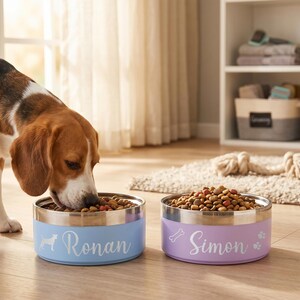 Pu&ograve; includere: Due ciotole rotonde per animali in acciaio inossidabile con esterno colorato. La ciotola azzurra riporta il nome Ronan e la sagoma di un cane. La ciotola viola chiaro riporta il nome Simon, l'icona di un osso e impronte di zampe.