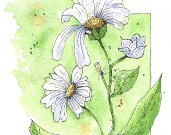 Daisy Watercolor Print, Daisies Watercolor Art Print, Pen and Wash Flowers, Floral Wall Art