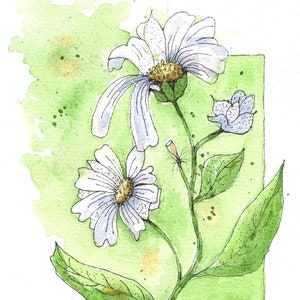 Daisy Watercolor Art Print: Pen and Wash Floral Wall Decor