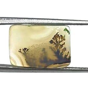 May include: A rectangular moss agate gemstone with a smooth, polished surface. The stone features a translucent, creamy off-white base colour with dark brown, tree-like dendritic inclusions that resemble miniature forest landscapes.