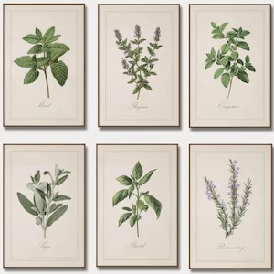 Juego de láminas vintage de hierbas aromáticas, arte botánico para la pared de la cocina, decoración rústica (descarga digital)