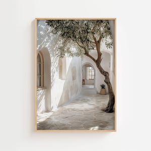 Może przedstawiać: Oprawiony wydruk przedstawiający słoneczną alejkę z białymi ścianami i łukowatymi oknami. Pośrodku rośnie drzewo z zielonymi liśćmi i teksturowanym pniem. Podłoże wyłożone jest jasnymi kamieniami, co przywodzi na myśl śródziemnomorską estetykę.