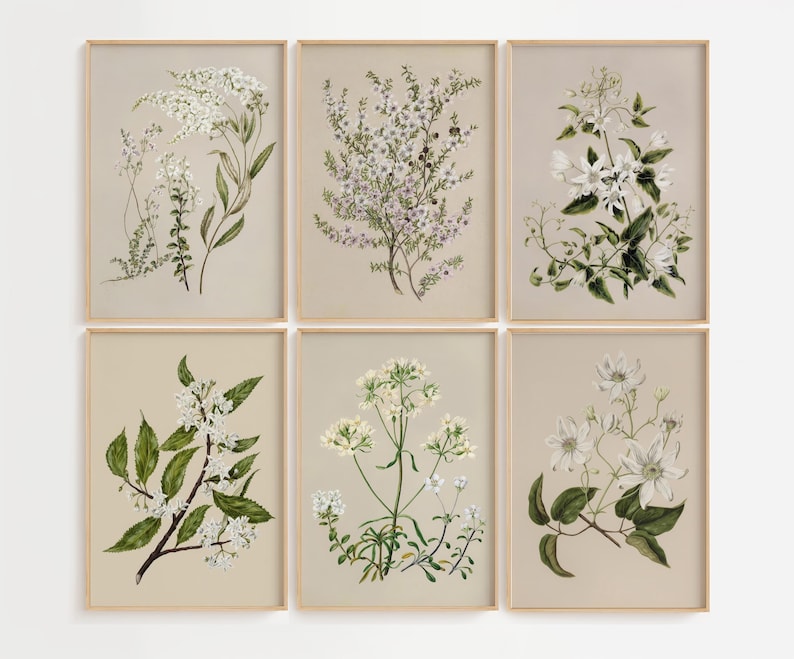 Vintage Botanical Print Set of 6, Floral Wall Art, Cottagecore Home ...