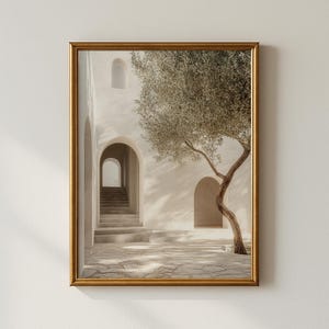 May include: A framed print shows a sunlit courtyard with arched doorways and a staircase leading to a distant archway. A mature olive tree with textured bark and green foliage stands to the right, casting shadows on the stone patio.