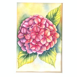 Dipinto originale ad acquerello di un'ortensia, opera d'arte botanica da parete, quadro con fiori rosa e passepartout 30 x 40 cm.