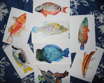 Reef Fish Notecards- Series 8