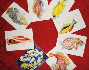 Reef Fish -Notecard series 7