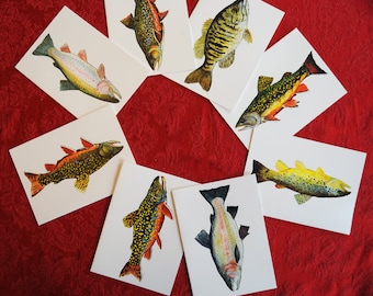 Trout and other Gamefish - Notecard Series 5