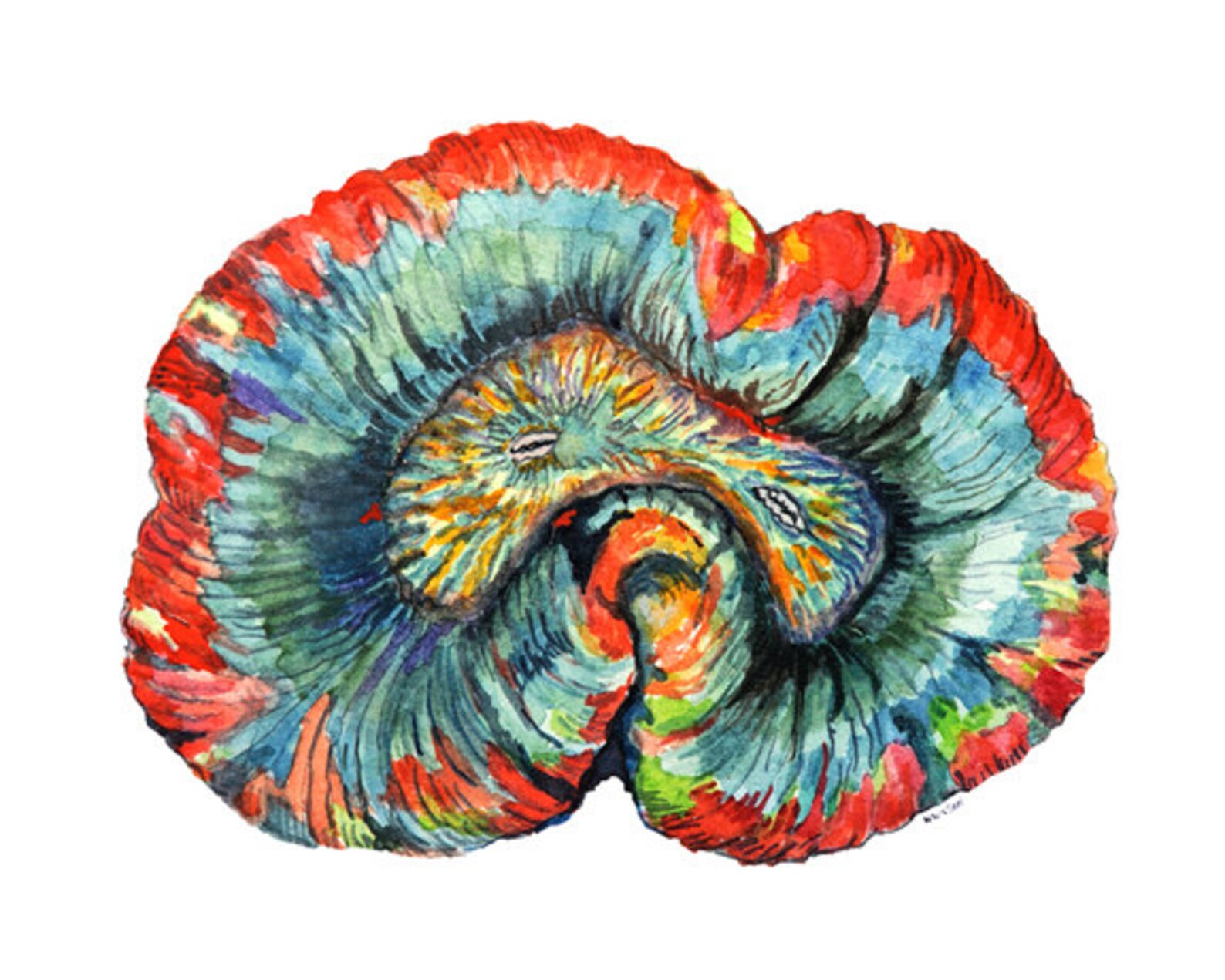 Brain Coral 8 X 10 Archival Giclee Print of an Etsy