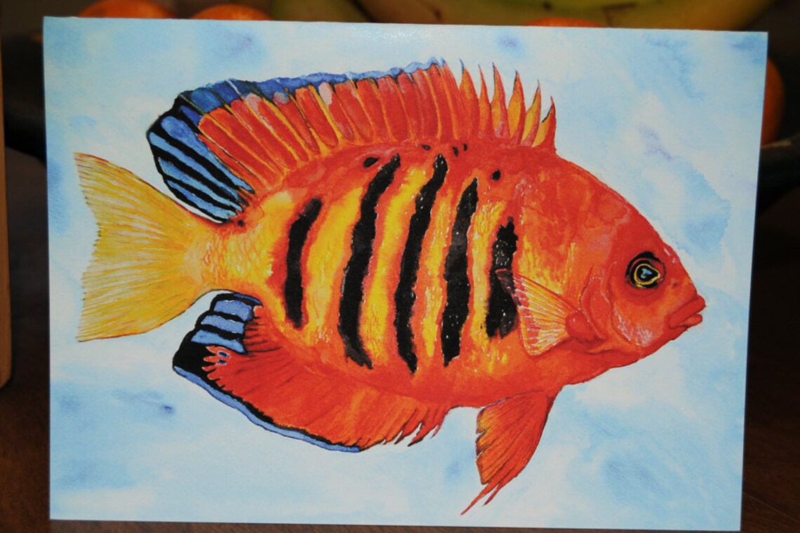 Reef Life Note Cards - Etsy